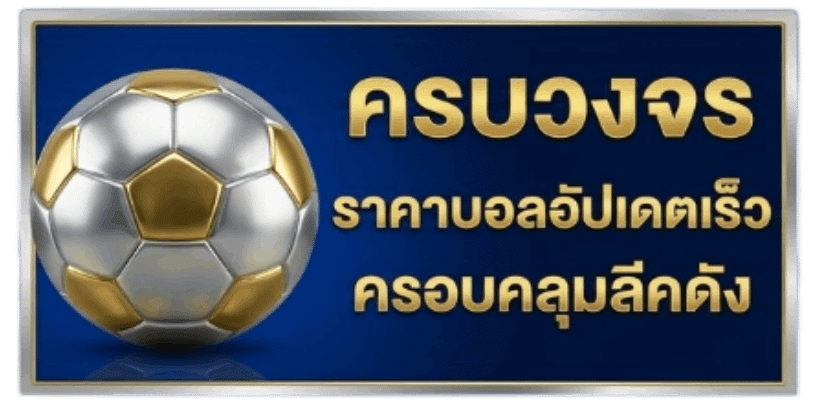 ครบวงจร ราคาบอลอัปเดตเร็ว ครอบคลุมลีกดัง